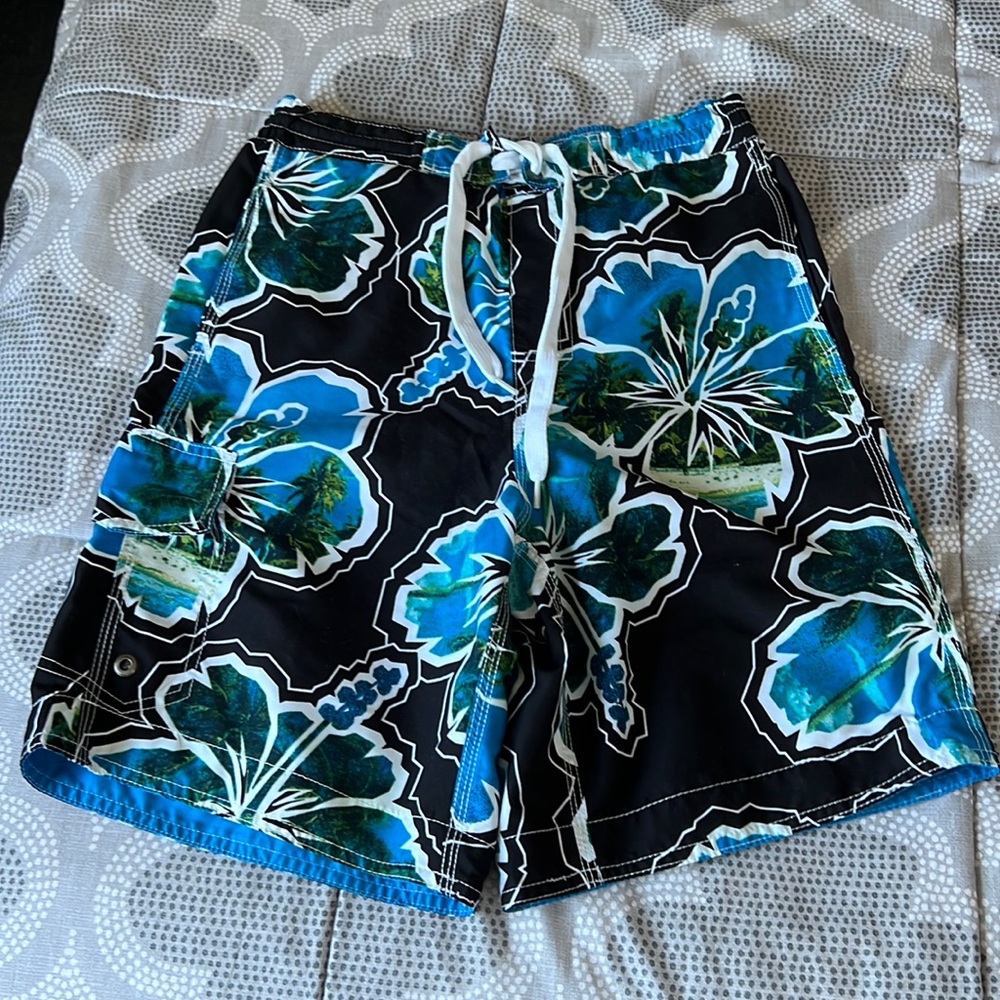Lanesboro mens swim shorts